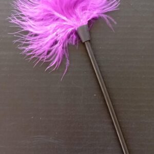 Pluma Estimuladora Corporal Violeta
