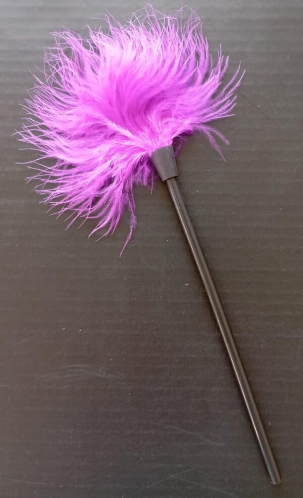 Pluma Estimuladora Corporal Violeta